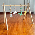 Dinosaur Play Gym