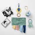 Play Gym Accessories