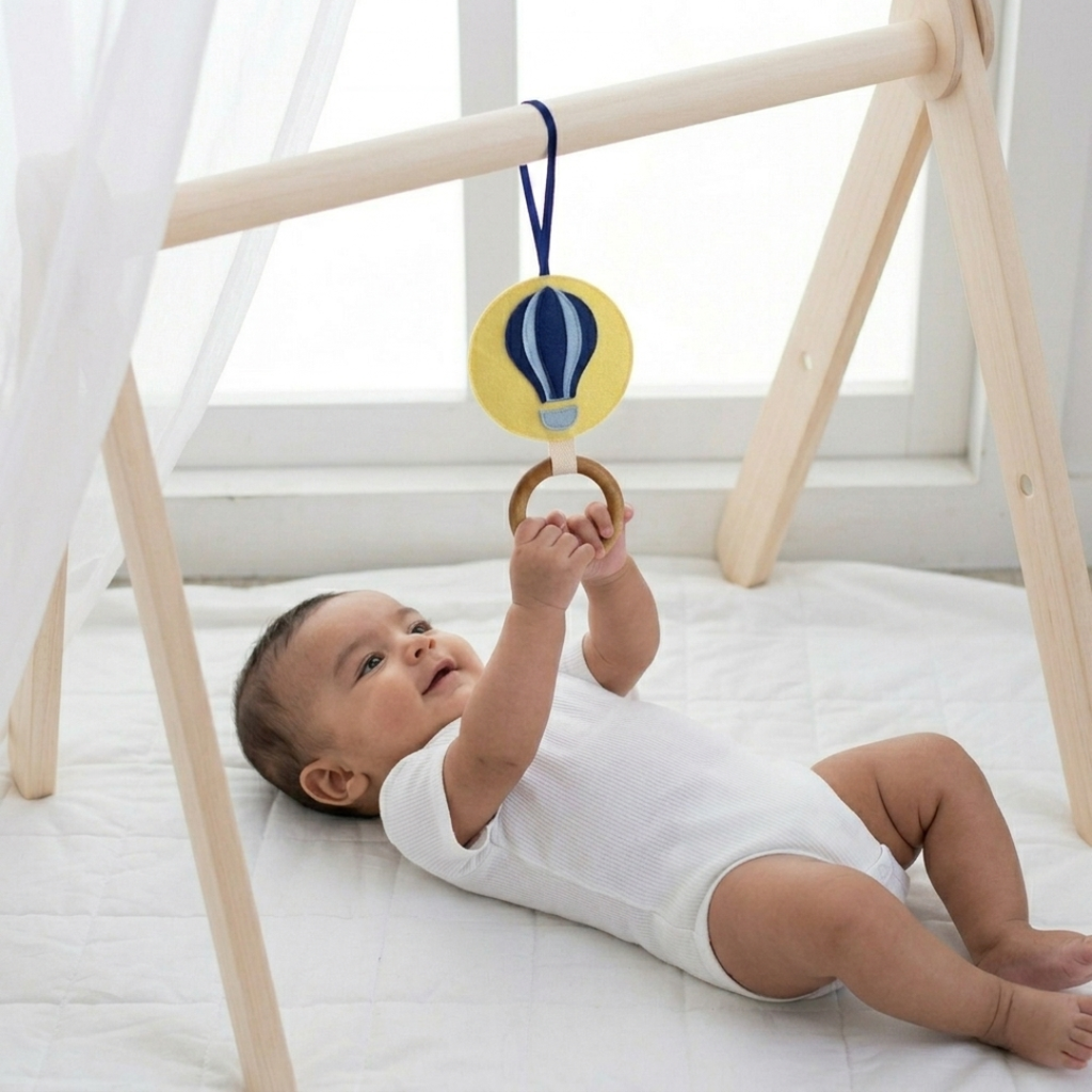 Play Gym Accessories