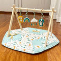 Dog Play Gym