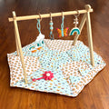 Blue Play Gym