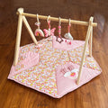Garden Play Gym